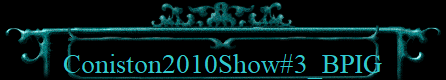 Coniston2010Show#3_BPIG