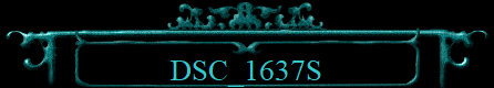 DSC_1637S