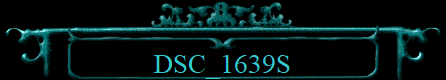 DSC_1639S