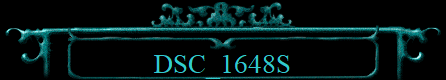 DSC_1648S