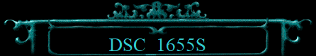 DSC_1655S