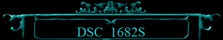 DSC_1682S