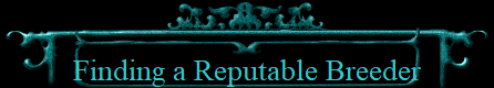 Finding a Reputable Breeder