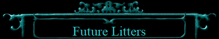 Future Litters