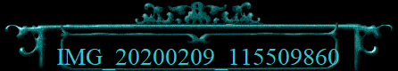 IMG_20200209_115509860