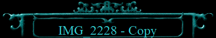 IMG_2228 - Copy