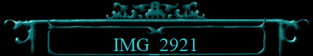 IMG_2921