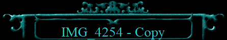 IMG_4254 - Copy