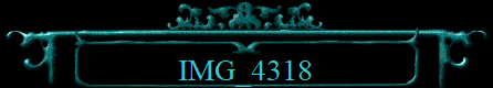 IMG_4318