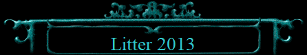 Litter 2013