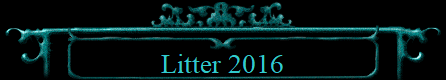 Litter 2016
