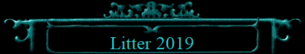 Litter 2019