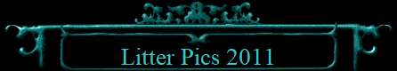 Litter Pics 2011