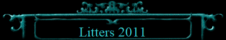 Litters 2011