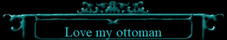 Love my ottoman