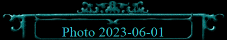 Photo 2023-06-01