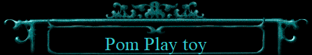 Pom Play toy