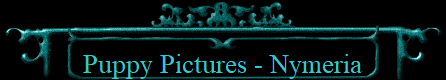 Puppy Pictures - Nymeria