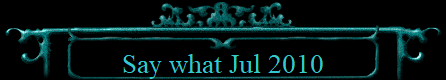Say what Jul 2010