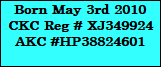 Born May 3rd 2010
CKC Reg # XJ349924
AKC #HP38824601