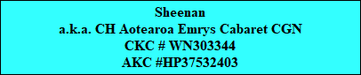 Sheenan
a.k.a. CH Aotearoa Emrys Cabaret CGN
CKC # WN303344
AKC #HP37532403