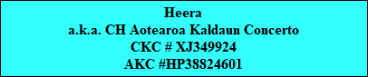 Heera
a.k.a. CH Aotearoa Kaldaun Concerto
CKC # XJ349924
AKC #HP38824601