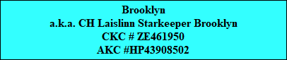 Brooklyn
a.k.a. CH Laislinn Starkeeper Brooklyn
CKC # ZE461950
AKC #HP43908502