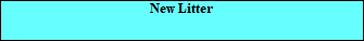 New Litter