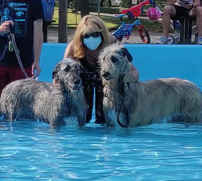 116712072_10222007869773220_1701526095216610835_o