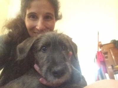 13346833_10154125978691420_6577606977436304786_n - Copy - Copy - Copy