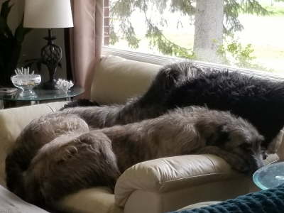 20190525_103427 - Copy