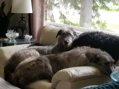 20190525_103440 - Copy