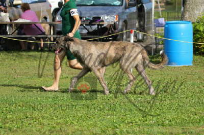 41876606_10155561657921021_7562946669587726336_n