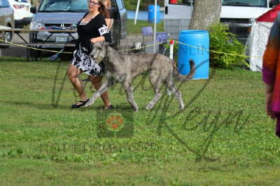 41903810_10155561654211021_4190647793125163008_n