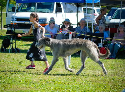 41914583_10155562325571021_2567439086277099520_o