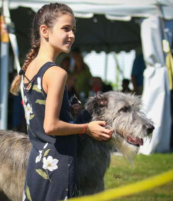 41934660_10155562319031021_6872358701970227200_n