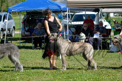 41936256_10155562096551021_4117541943599169536_n