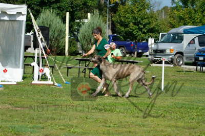 41940987_10155561695586021_4575538839224844288_n