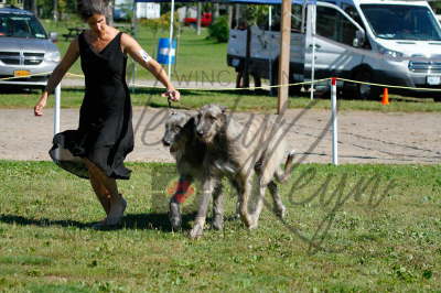 41944114_10155562094231021_4913486021628264448_n