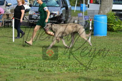 41948580_10155561654181021_6458566228230275072_n