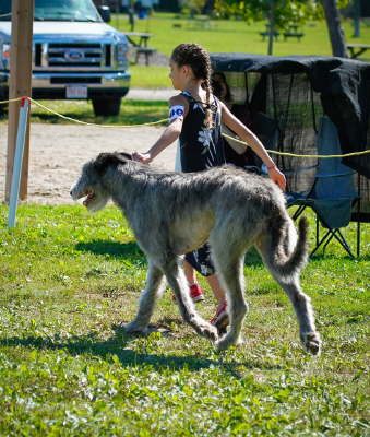 41949921_10155562323456021_6694195770540687360_n