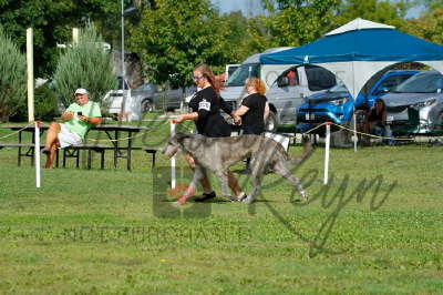 41973980_10155561695736021_738625574800457728_n