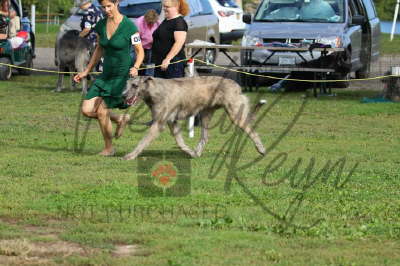 41990607_10155561654076021_884579442670698496_n