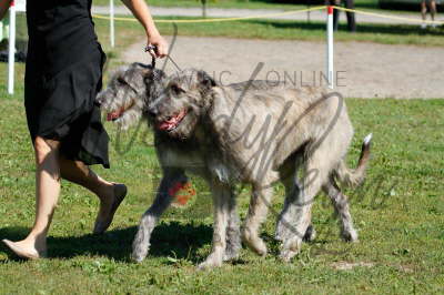 41990619_10155562094151021_8442406906378584064_n