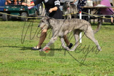 41991525_10155561658401021_7163733350664896512_n