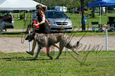 41991602_10155562102966021_2286712237034831872_n