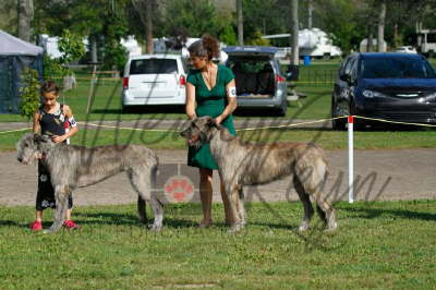 42045124_10155561703326021_4209325678182531072_n