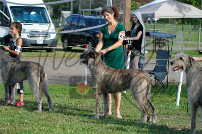 42085896_10155561836951021_8761736775648411648_n