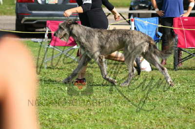 42086236_10155561658706021_7609661444023386112_n