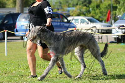 42087780_10155561677986021_5719229071838150656_n